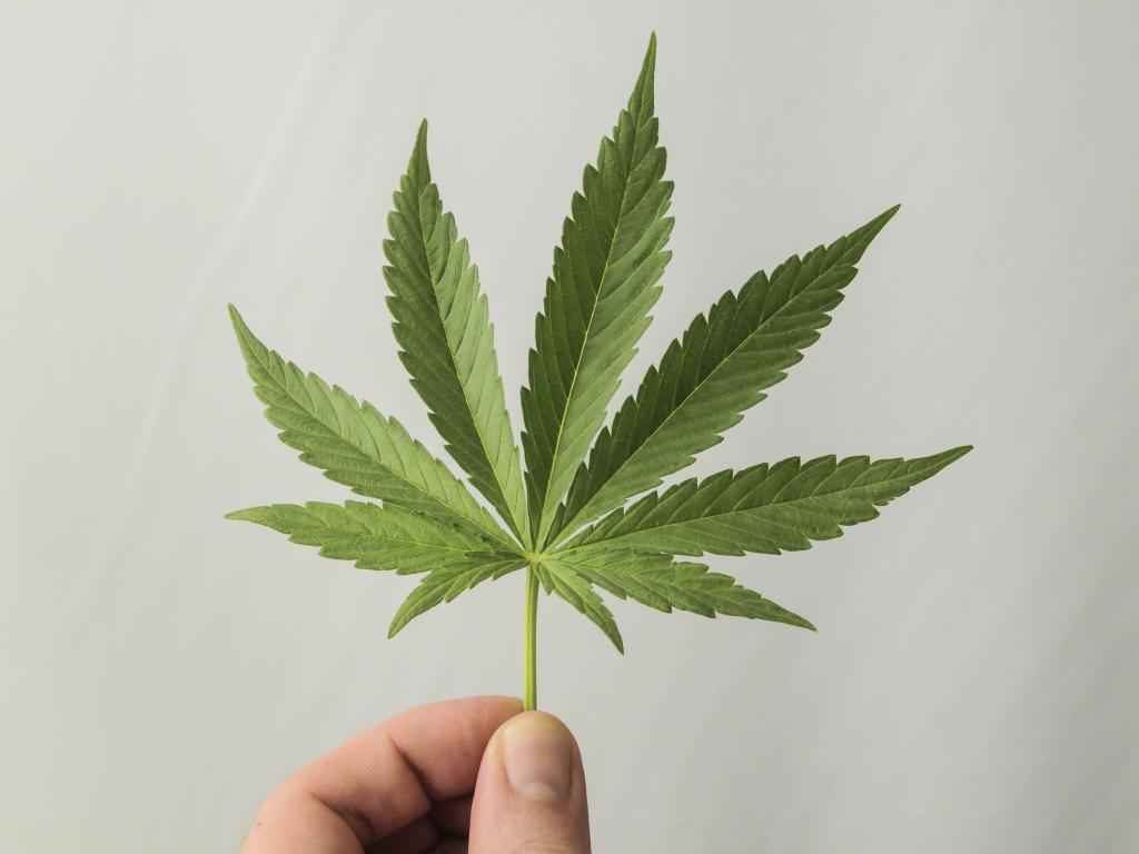 General Cannabis Corp (OTCMKTS:CANN) Poised to Stage a Reversal