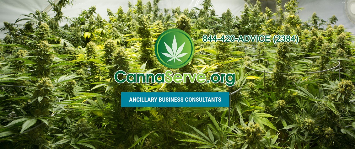 American Cannabis Company Inc (OTCMKTS:AMMJ) Explosive Trend